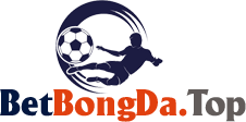 bong da z org